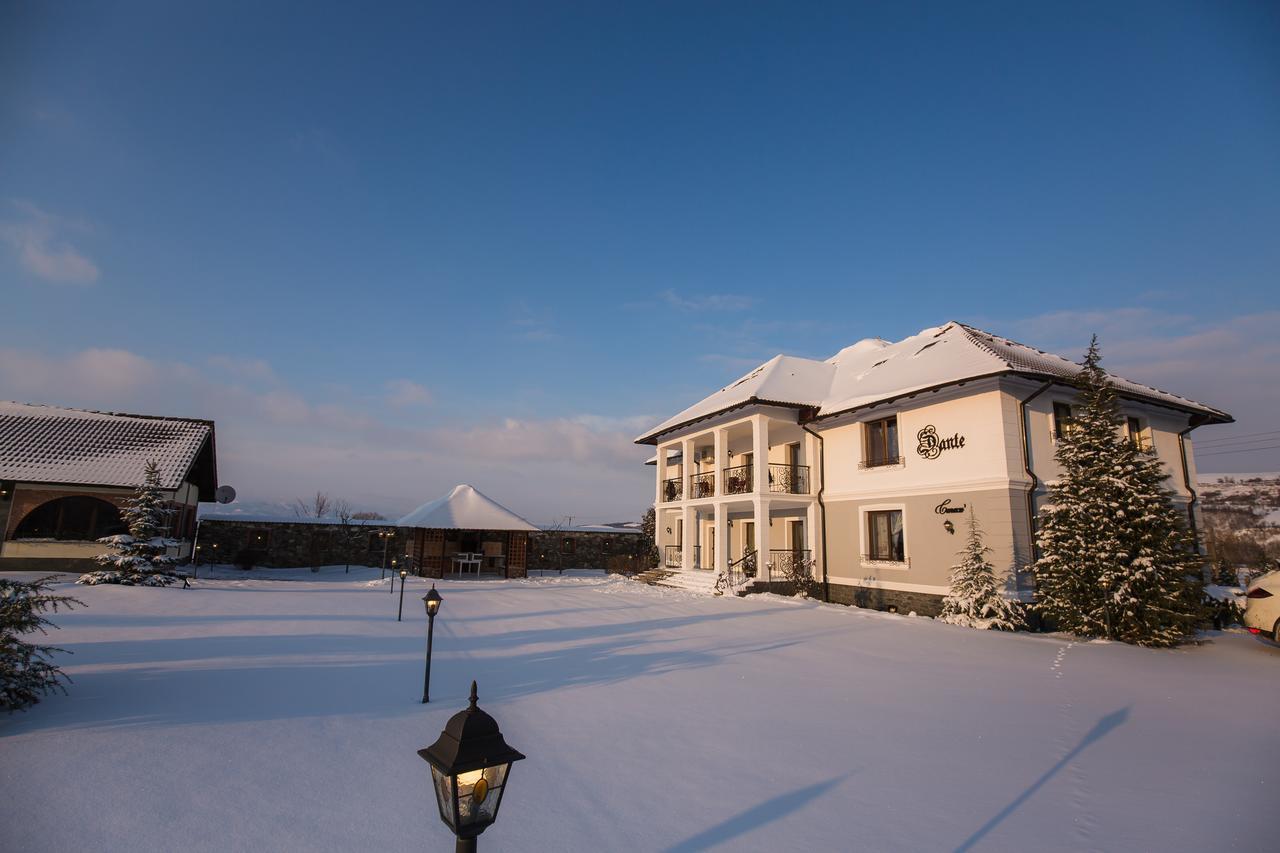 Conacul Dante Hotel Pianu de Jos Exterior photo