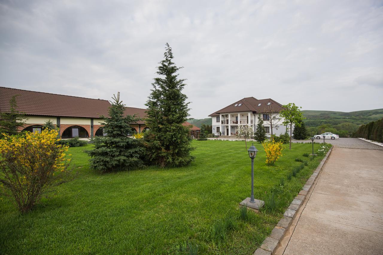 Conacul Dante Hotel Pianu de Jos Exterior photo