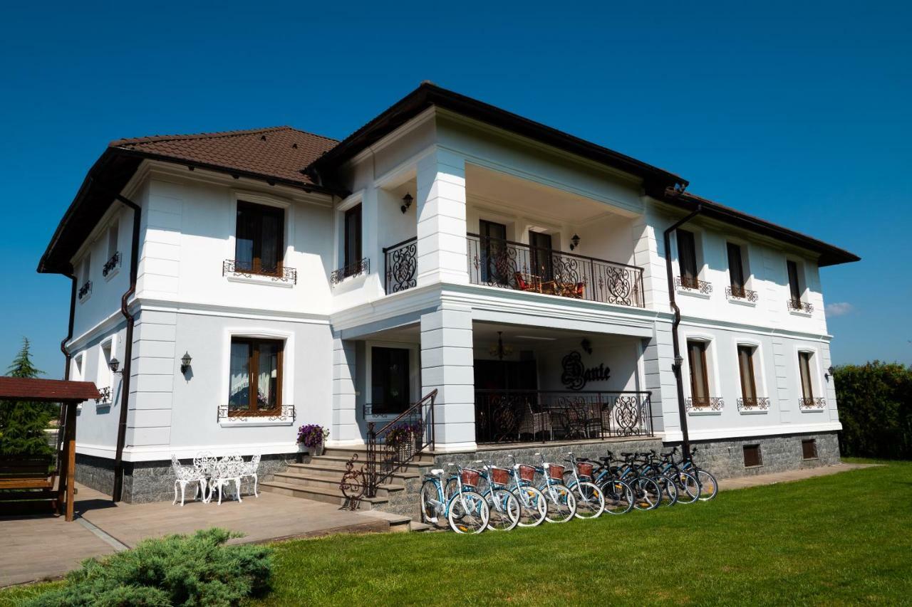 Conacul Dante Hotel Pianu de Jos Exterior photo